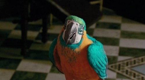 Foto de LAS AVENTURAS DEL DOCTOR DOLITTLE