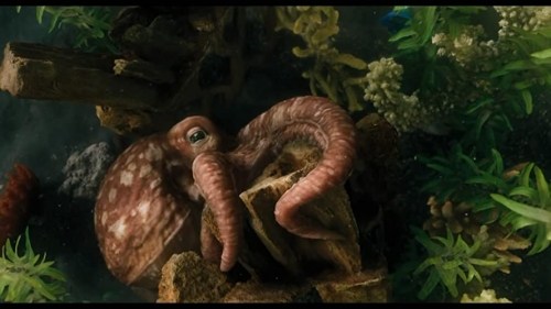 Foto de LAS AVENTURAS DEL DOCTOR DOLITTLE