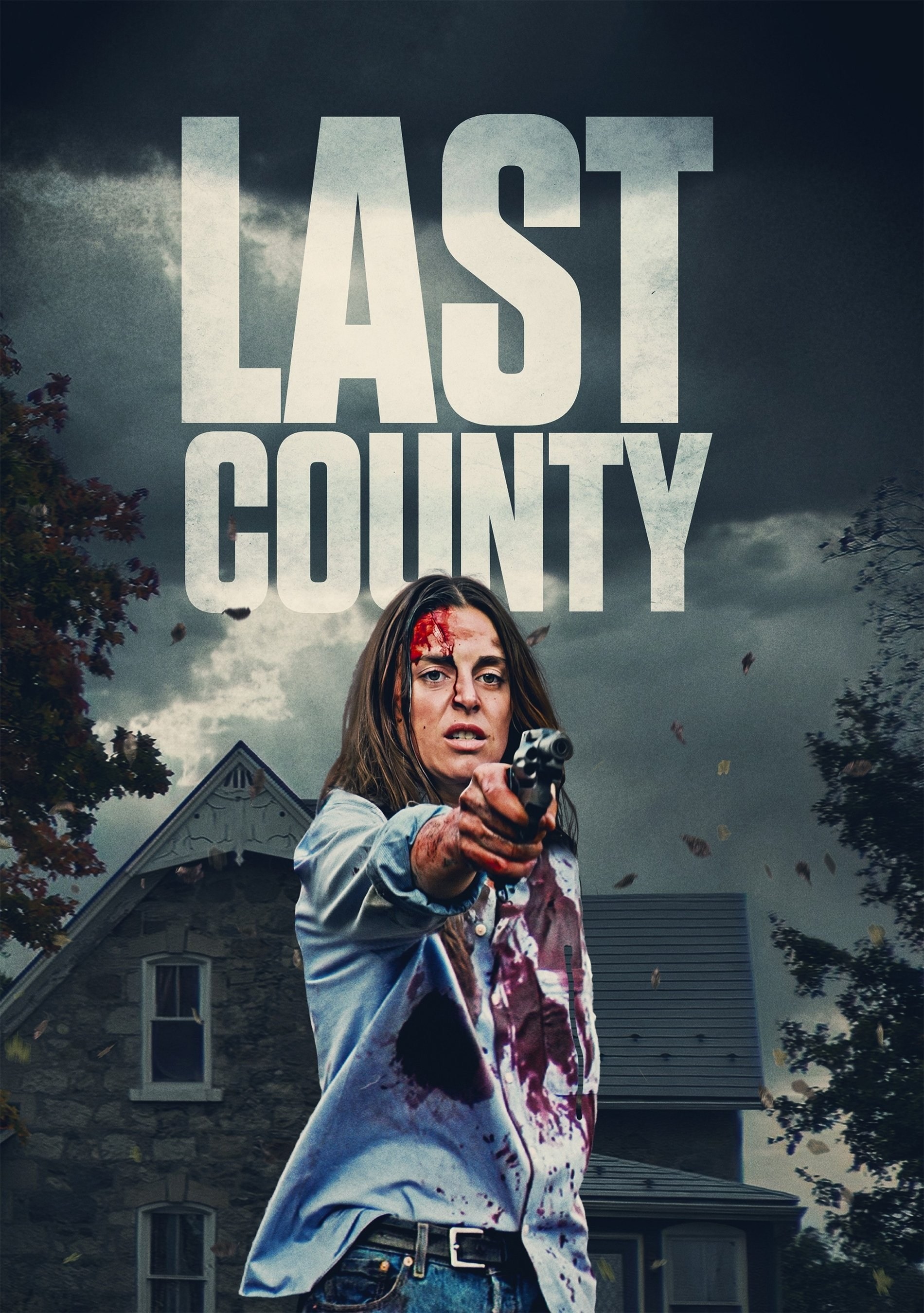 Poster de LAST COUNTY en inglés