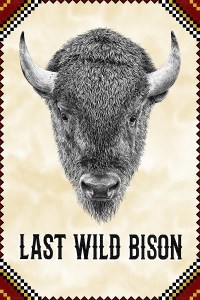 Last Wild Bison