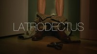 Latrodectus