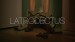 Latrodectus