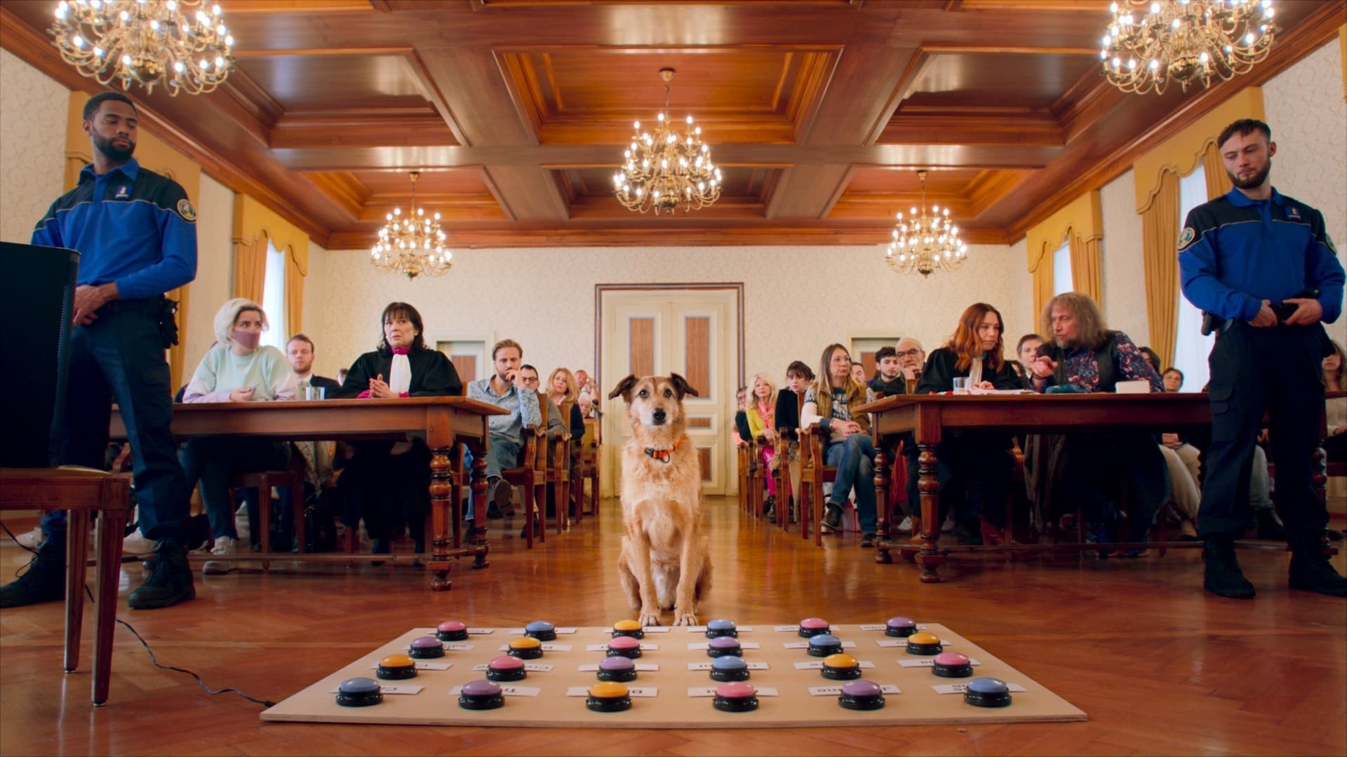 Foto de EL JUICIO DEL PERRO