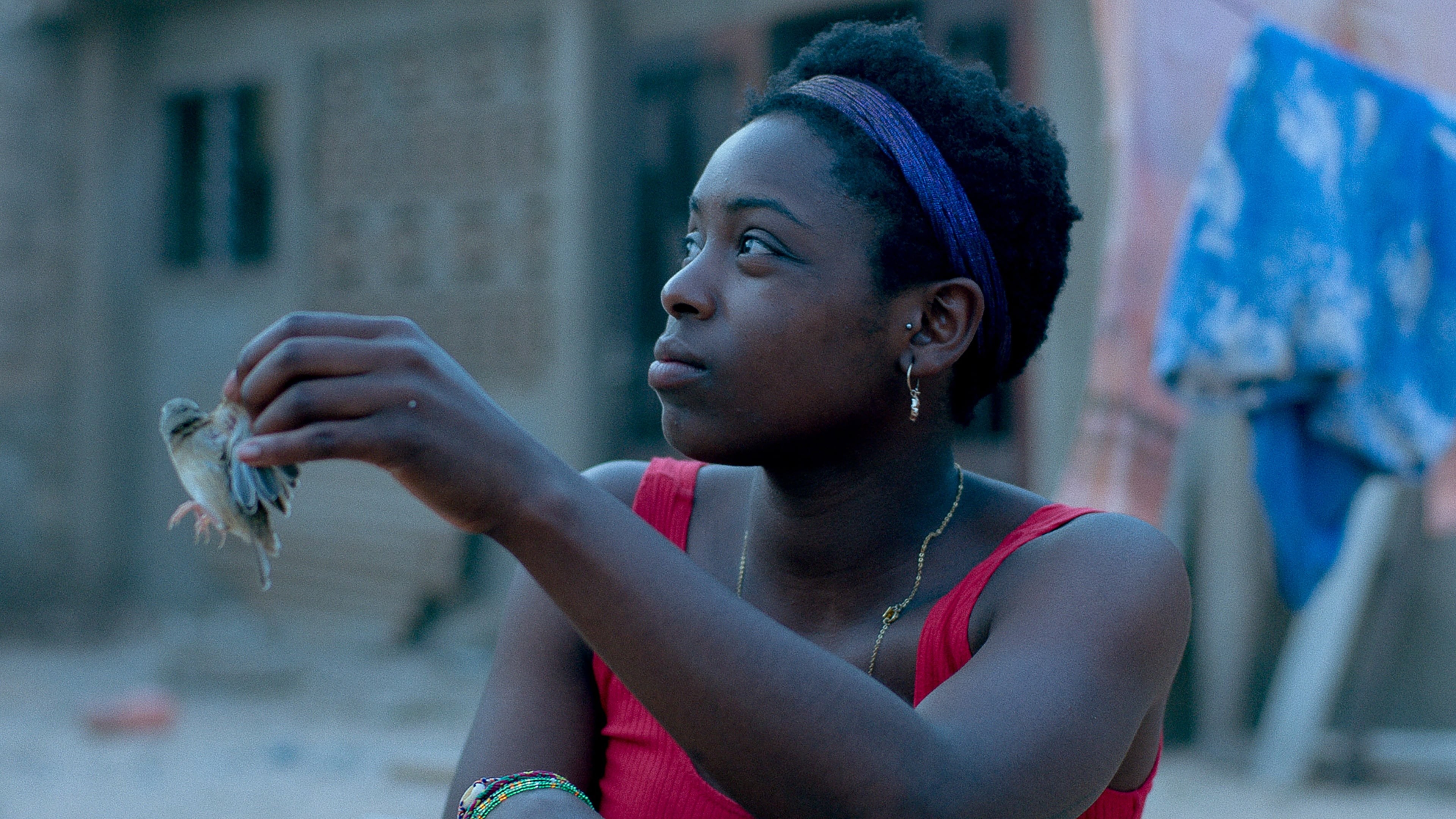 Foto de LE VOYAGE DE TALIA