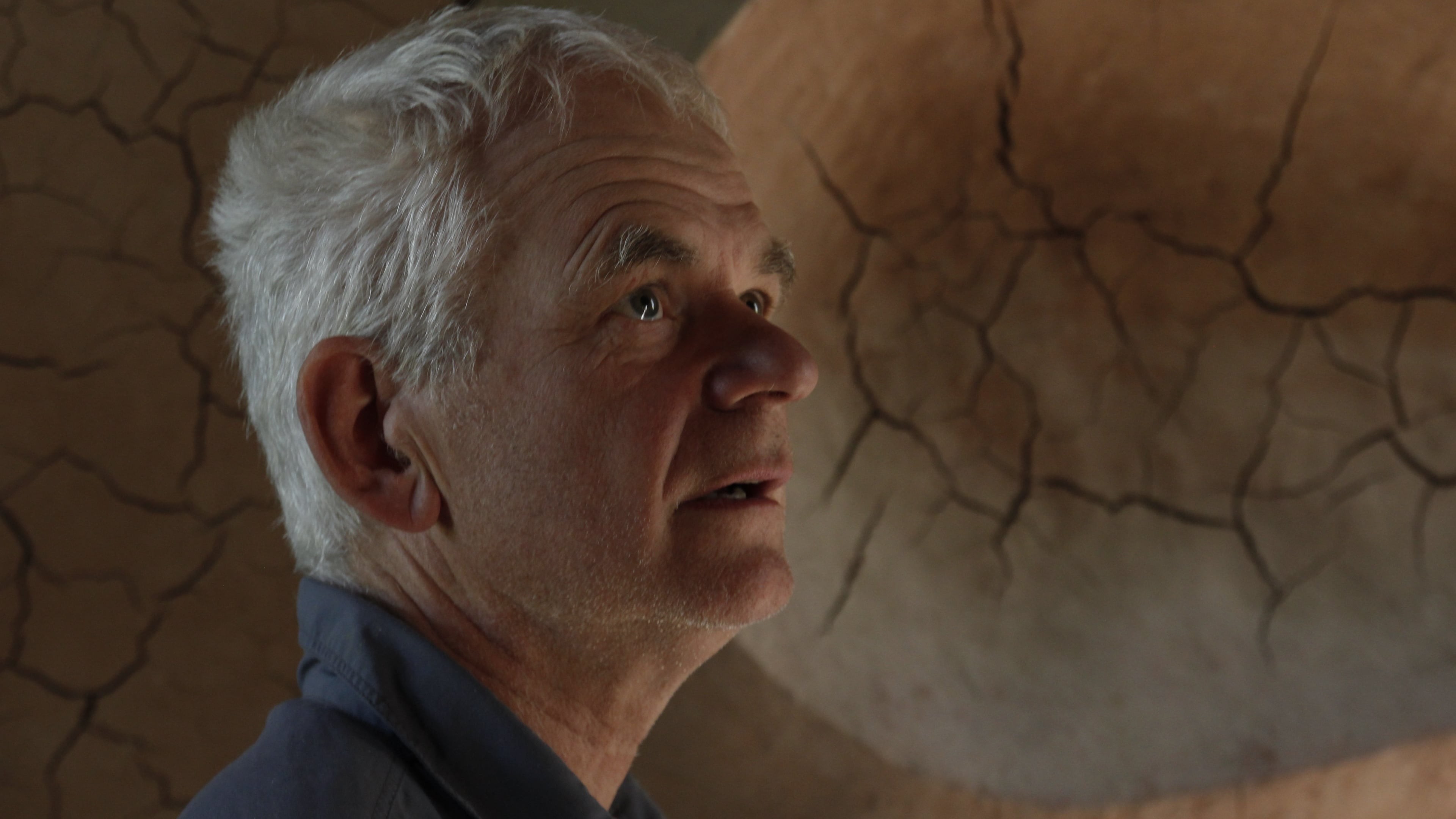 Foto de LEANING INTO THE WIND: ANDY GOLDSWORTHY
