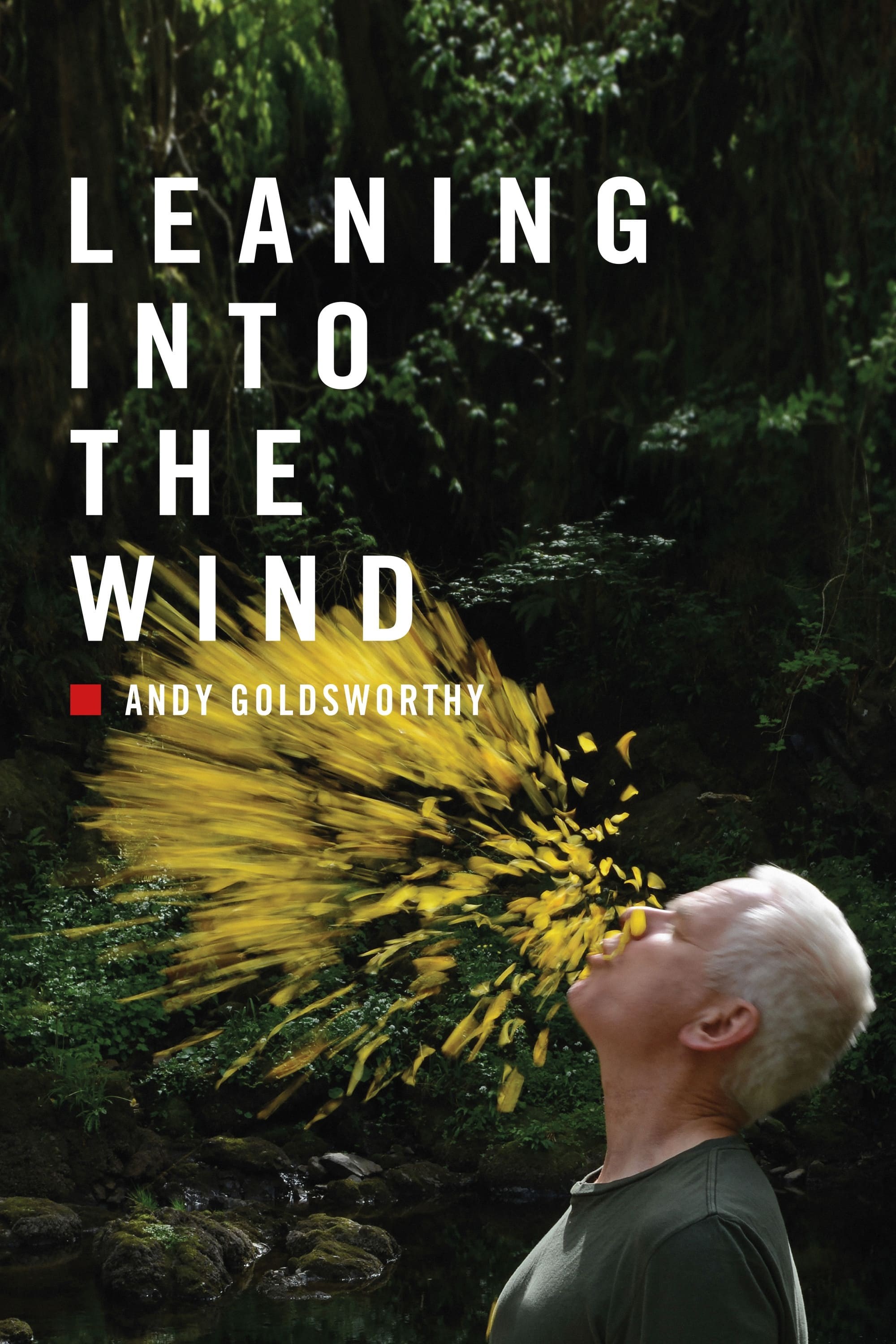 Poster de LEANING INTO THE WIND: ANDY GOLDSWORTHY en inglés