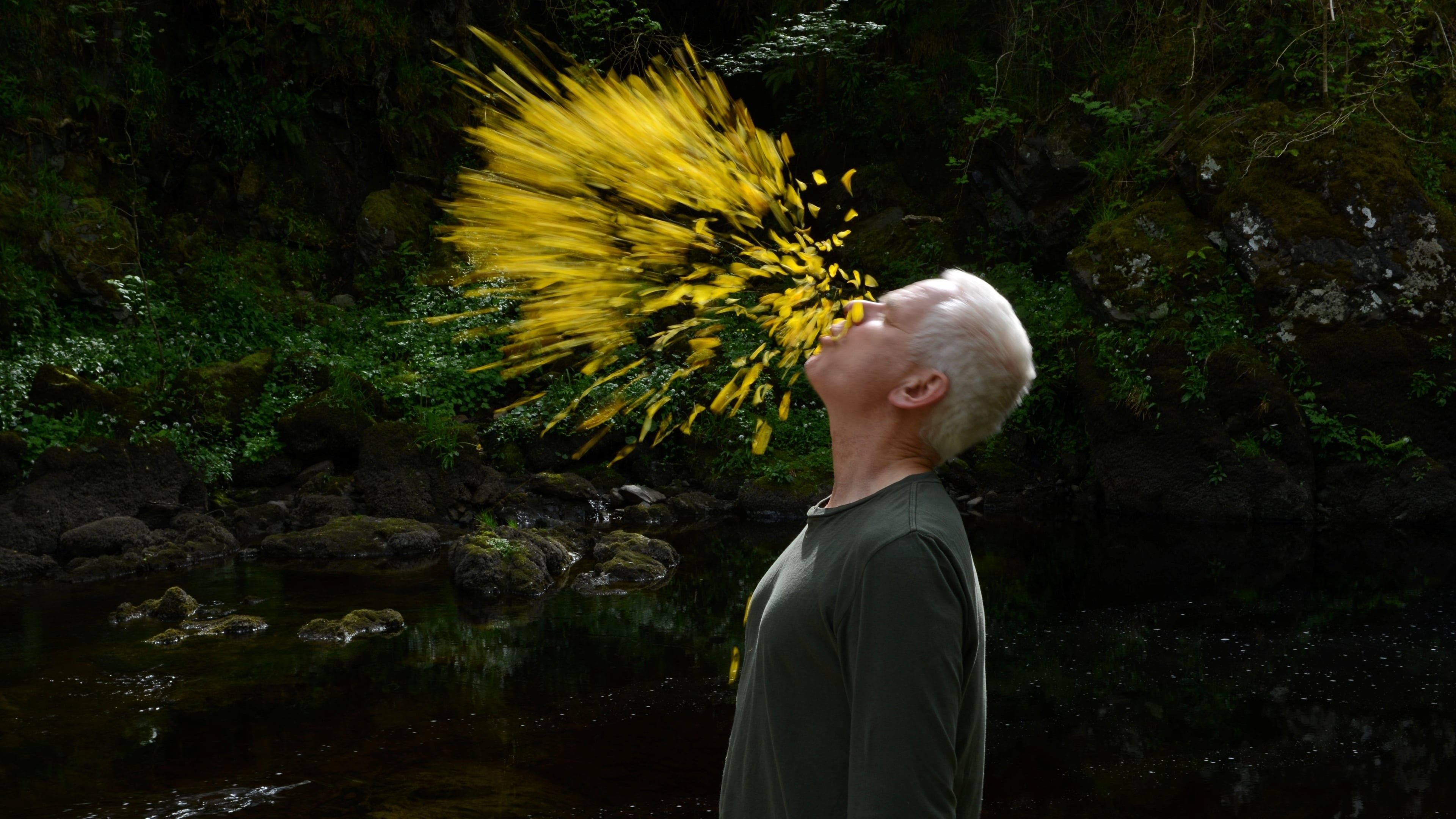 Foto de LEANING INTO THE WIND: ANDY GOLDSWORTHY