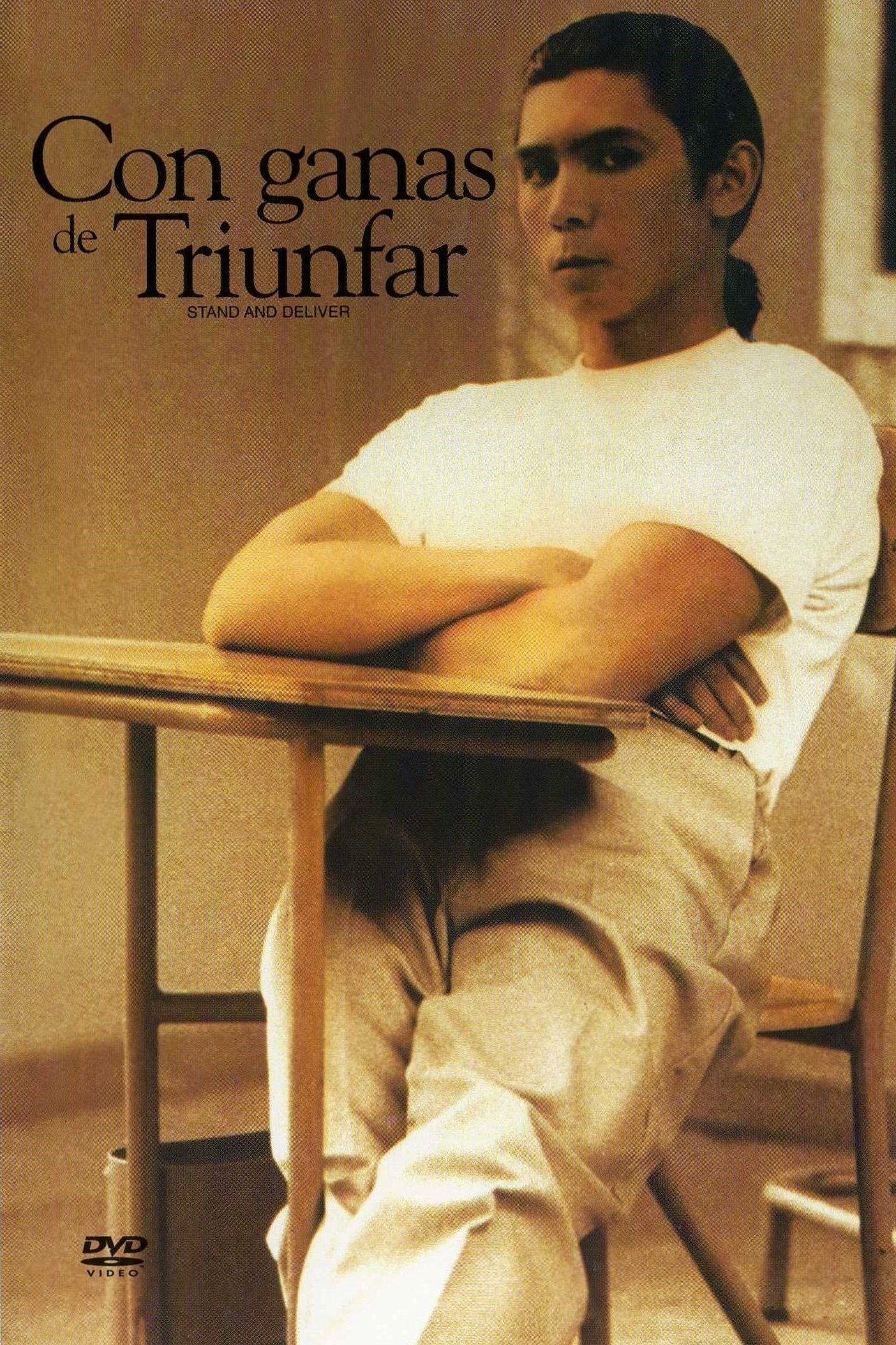 Poster de LECCIONES INOLVIDABLES en español