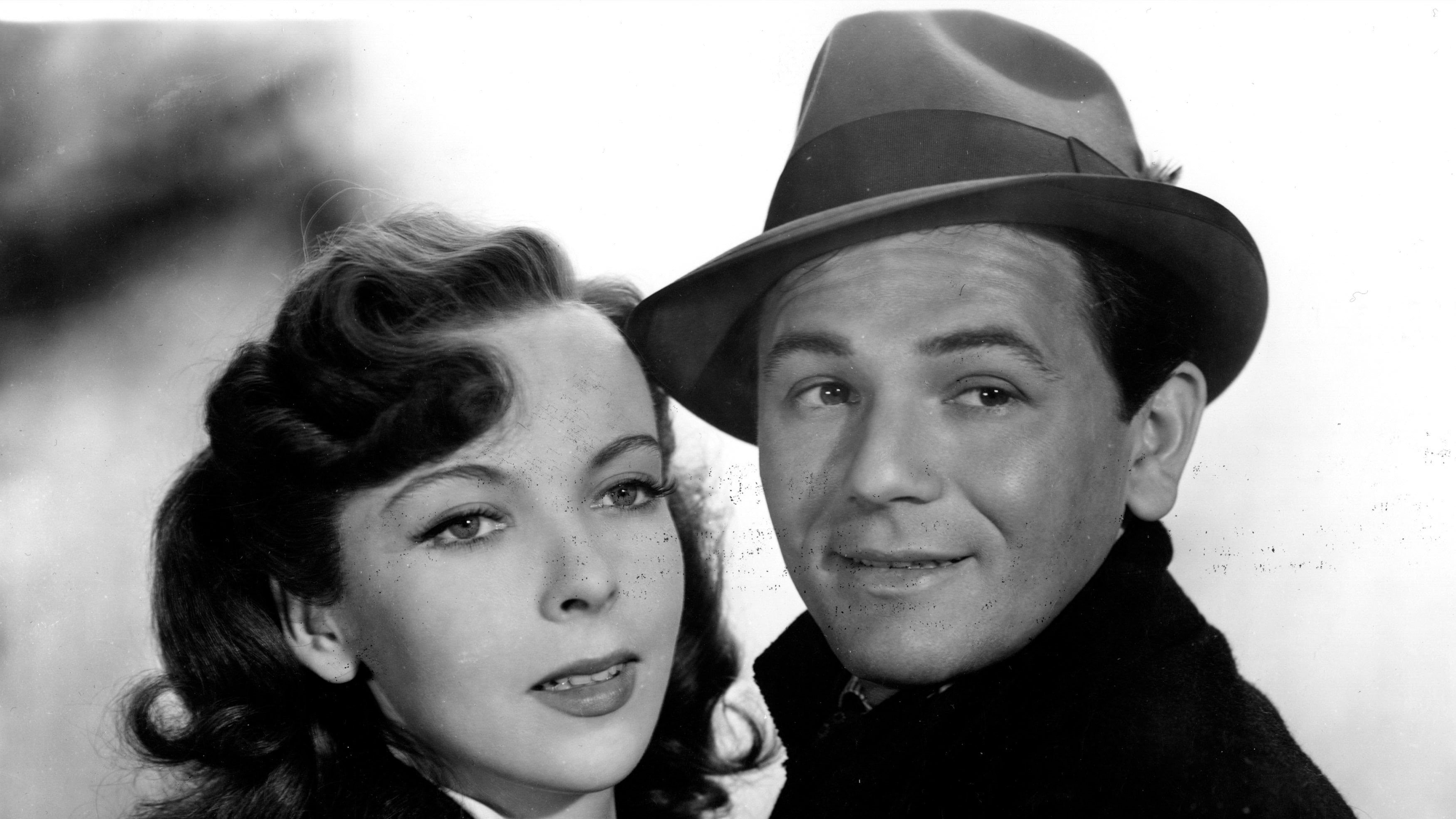 Foto de LEJOS DE LA NIEBLA