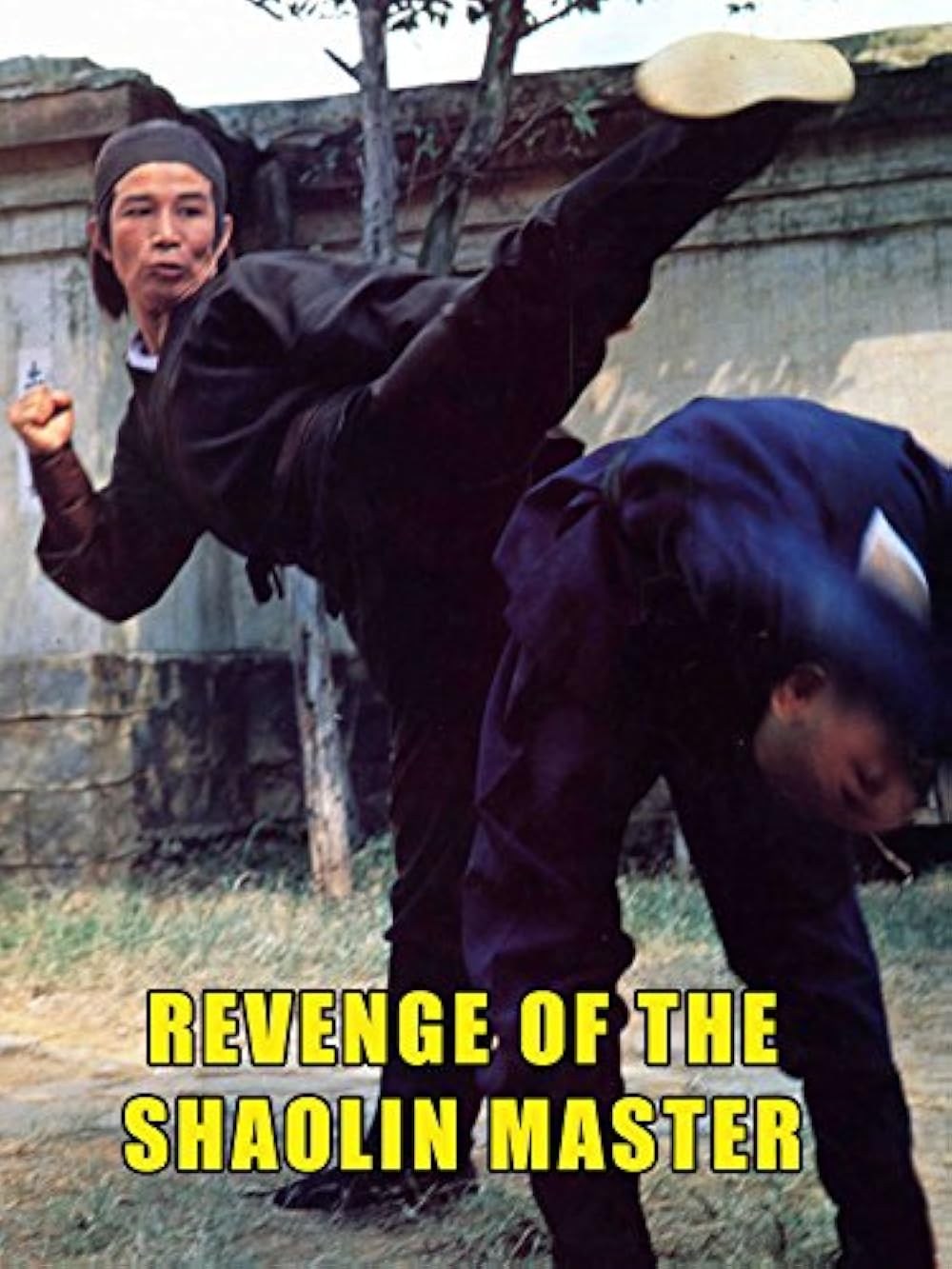 Poster de LENG DAO RAN HONG YING XIONG XUE