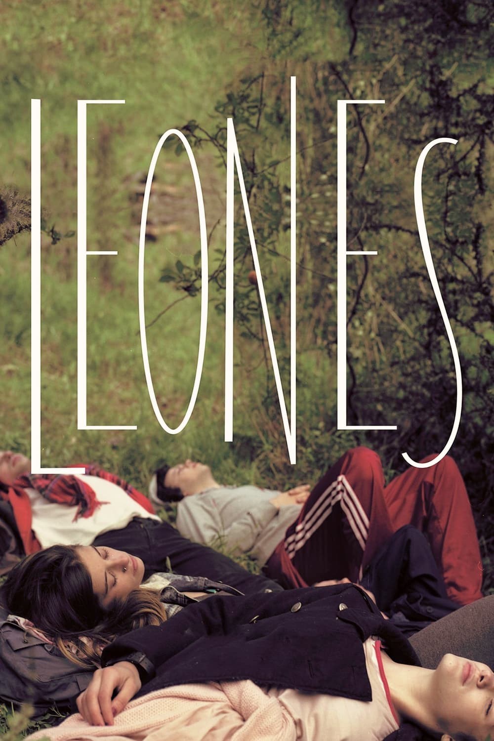 Poster de LEONES en español
