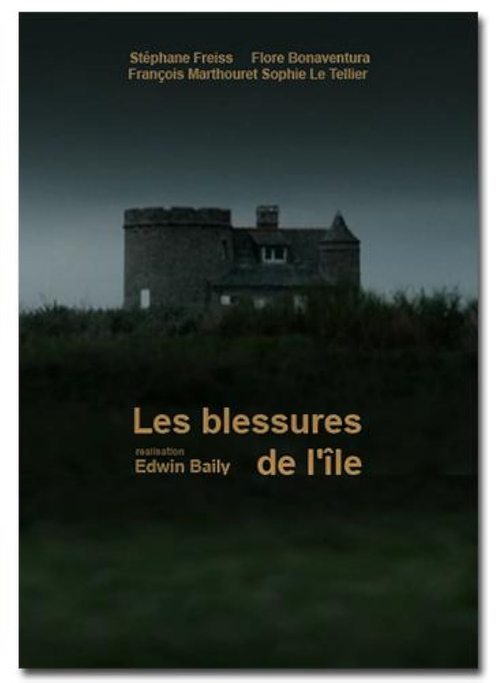 Poster de LES BLESSURES DE L'ÎLE