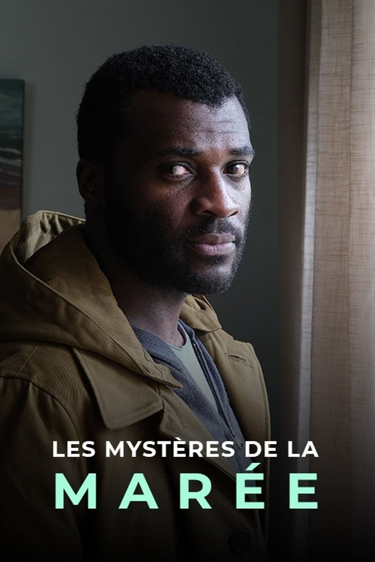 Poster de LES MYSTÈRES DE LA MARÉE