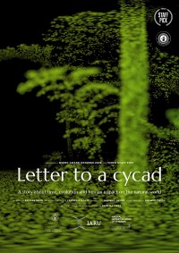 Letter to a Cycad