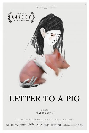 Carta a un cerdo