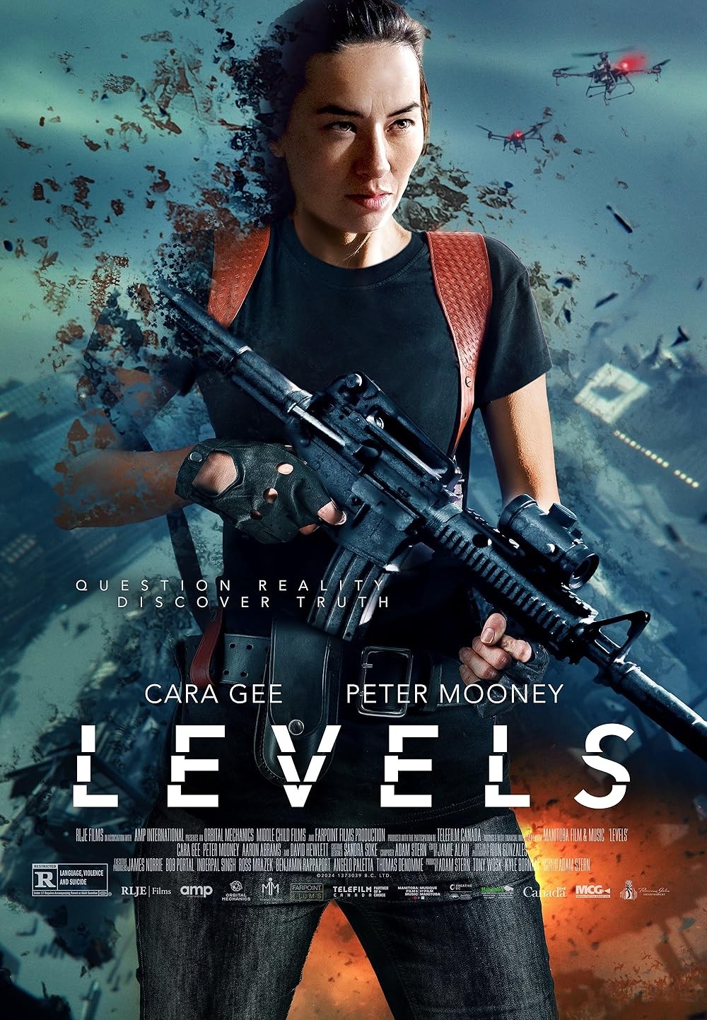 Poster de LEVELS