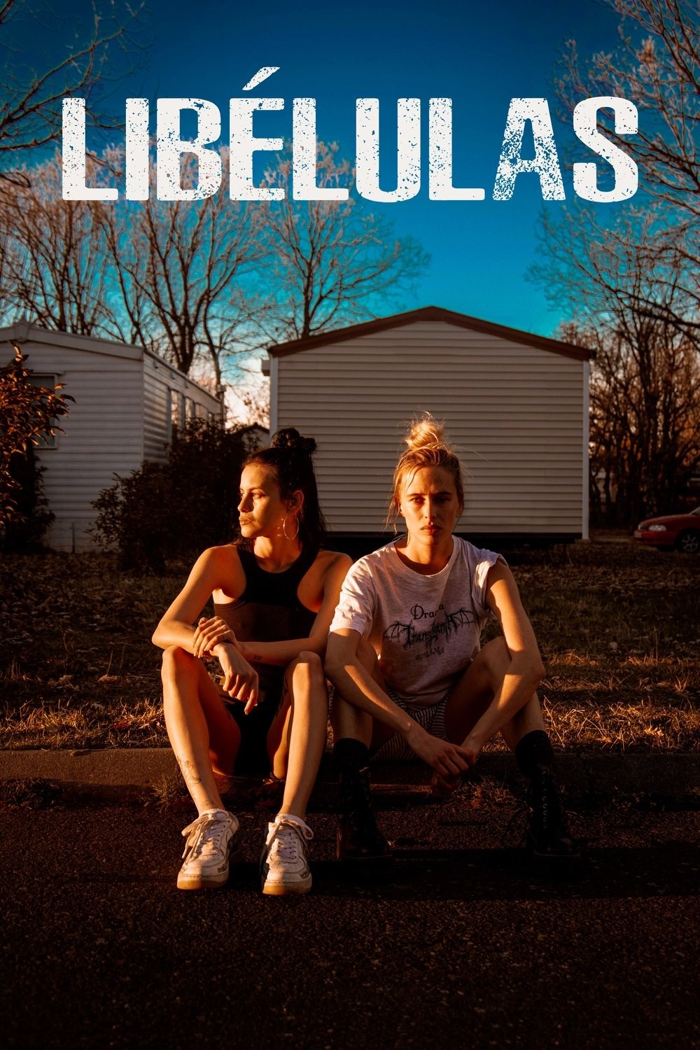 Poster de LIBÉLULAS