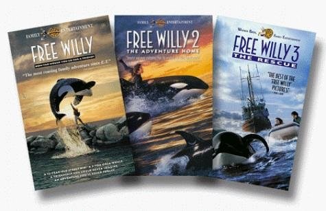 Foto de LIBERAD A WILLY 3: EL RESCATE