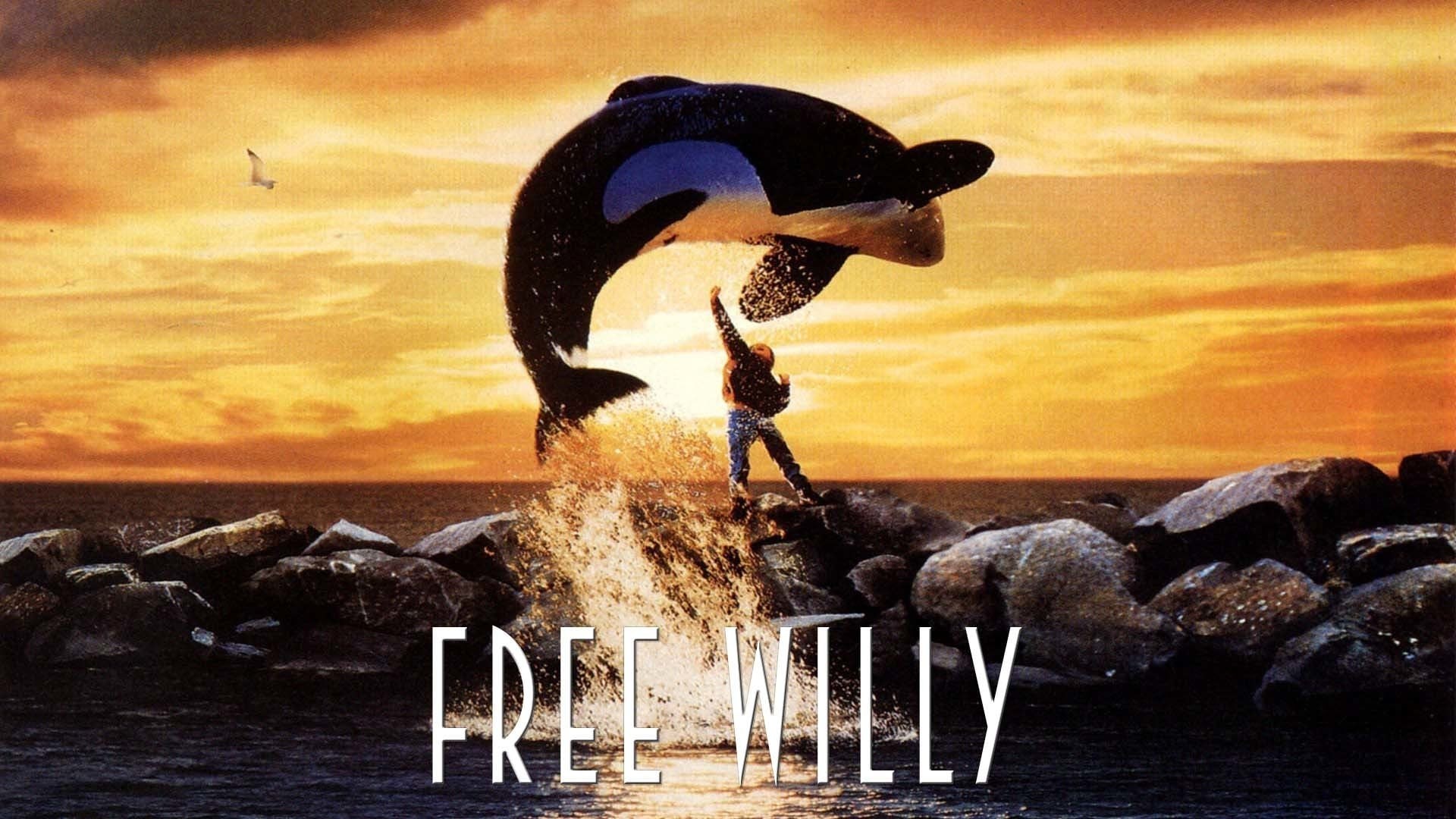 Foto de ¡LIBERAD A WILLY!
