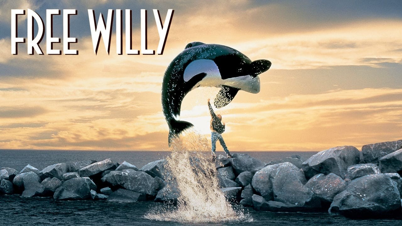 Foto de ¡LIBERAD A WILLY!