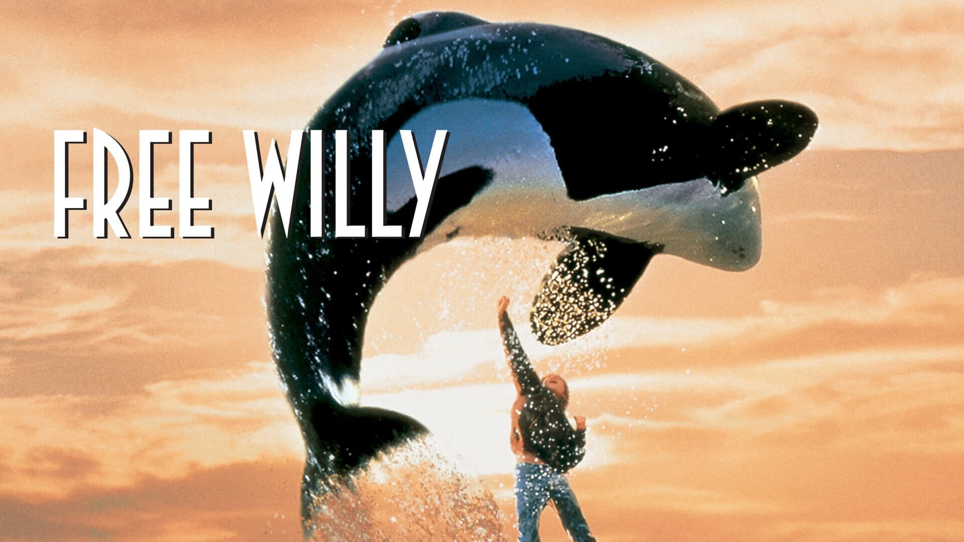 Foto de ¡LIBERAD A WILLY!