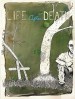 Life After Death