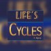 Life's Cycles