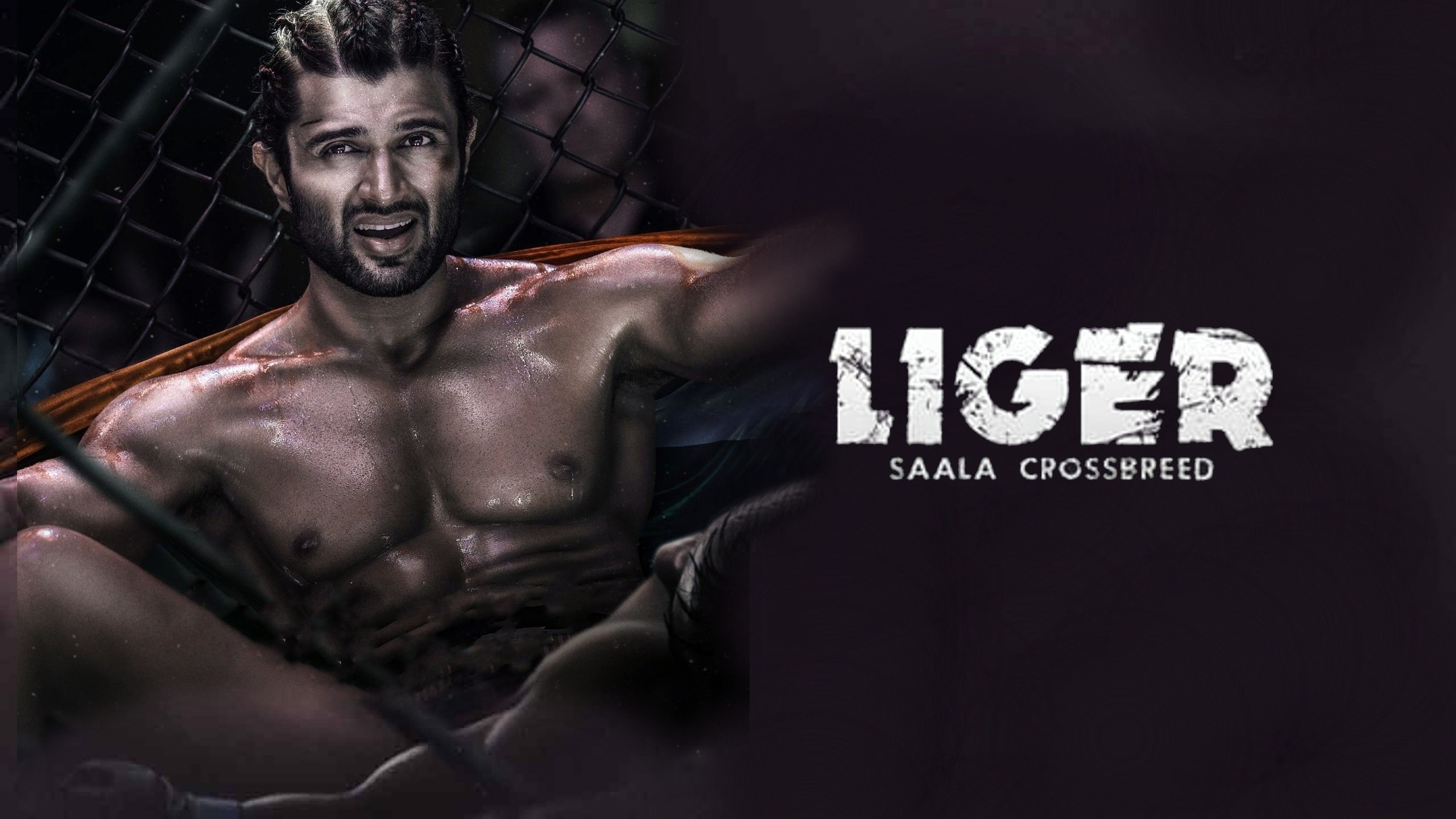 Foto de LIGER