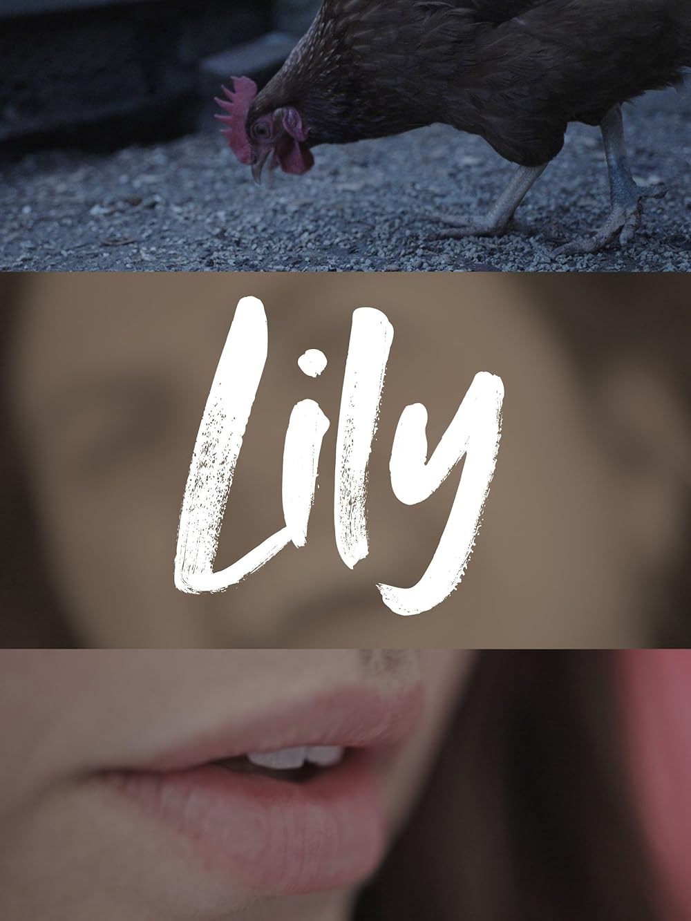 Poster de LILY