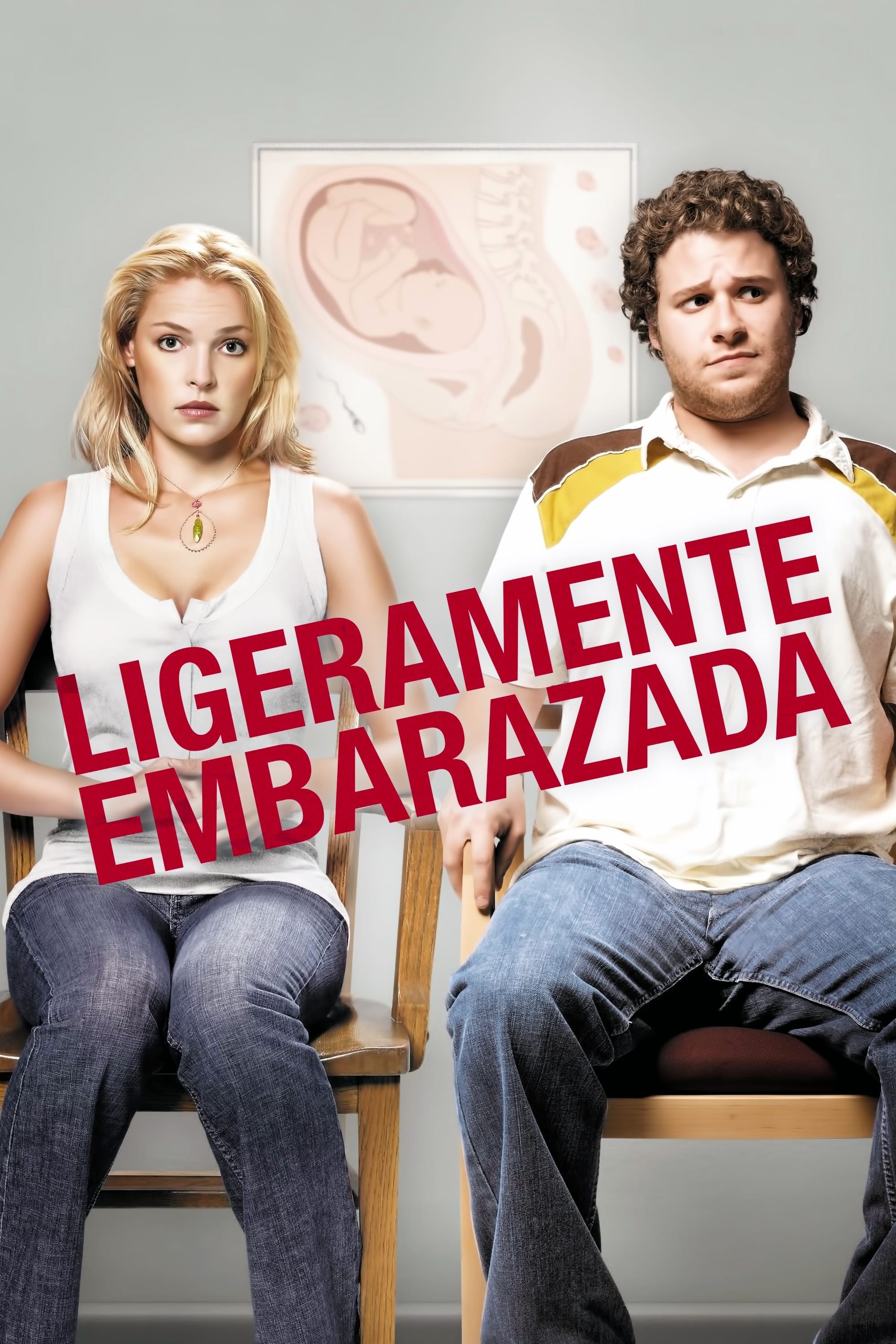 Poster de LÍO EMBARAZOSO en español
