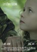 Little Forest Lessons