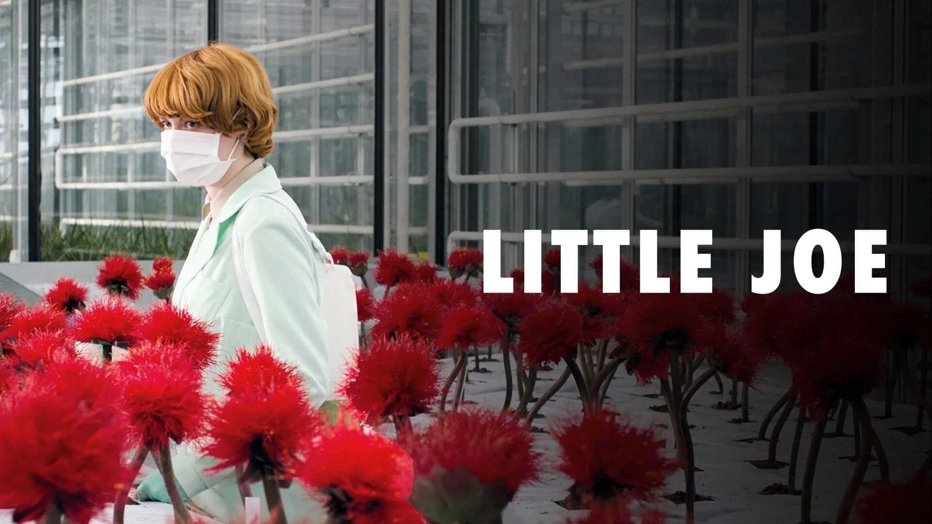 Foto de LITTLE JOE