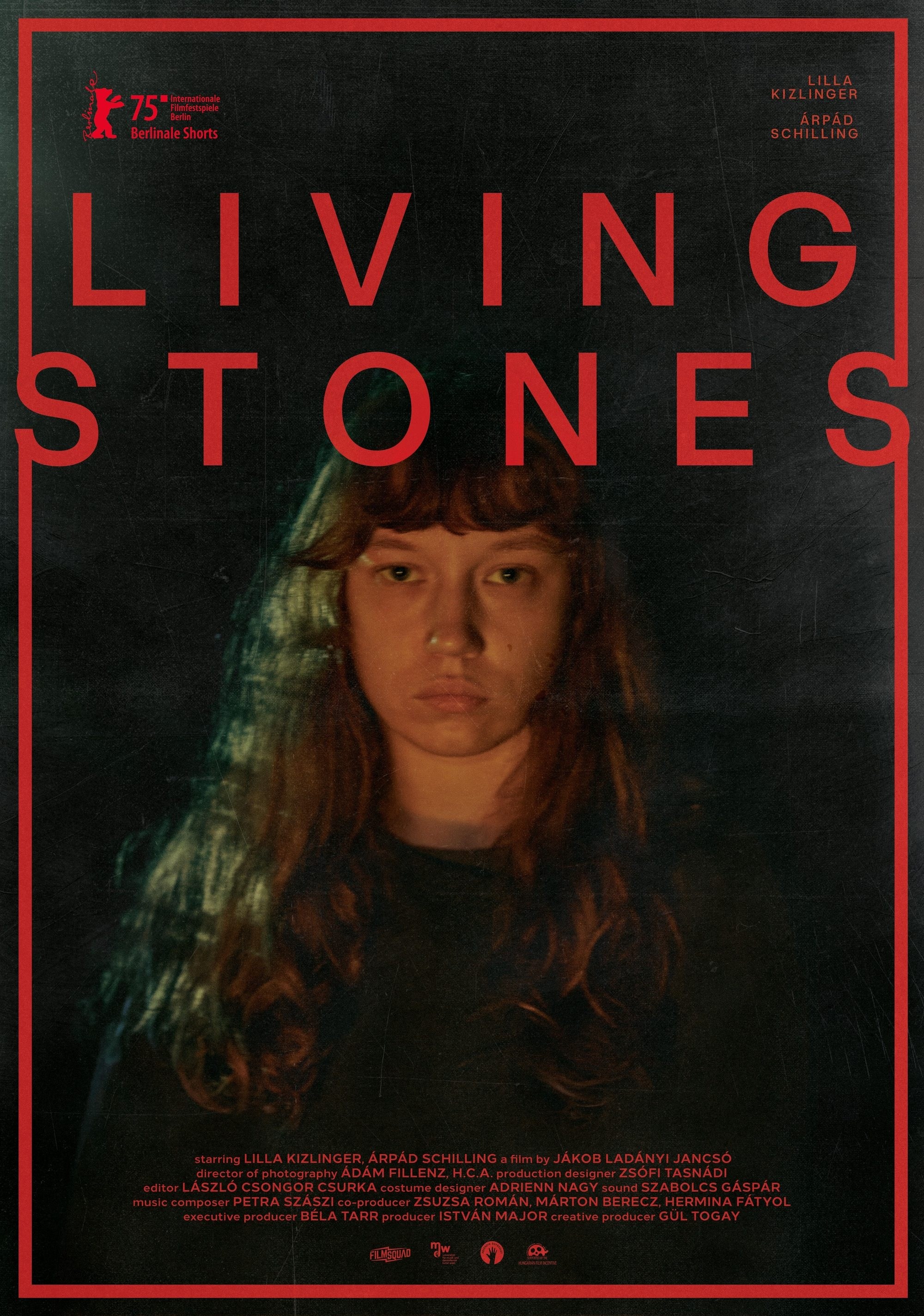 Poster de LIVING STONES