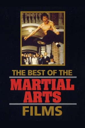 Lo mejor de las artes marciales