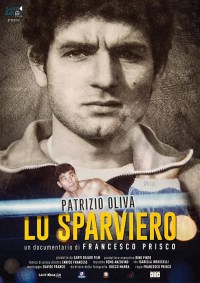 Lo sparviero