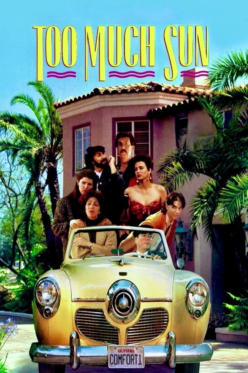 Poster de LOCURAS DE FAMILIA en inglés