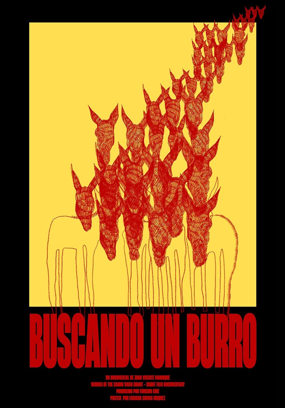 Poster de BUSCANDO UN BURRO