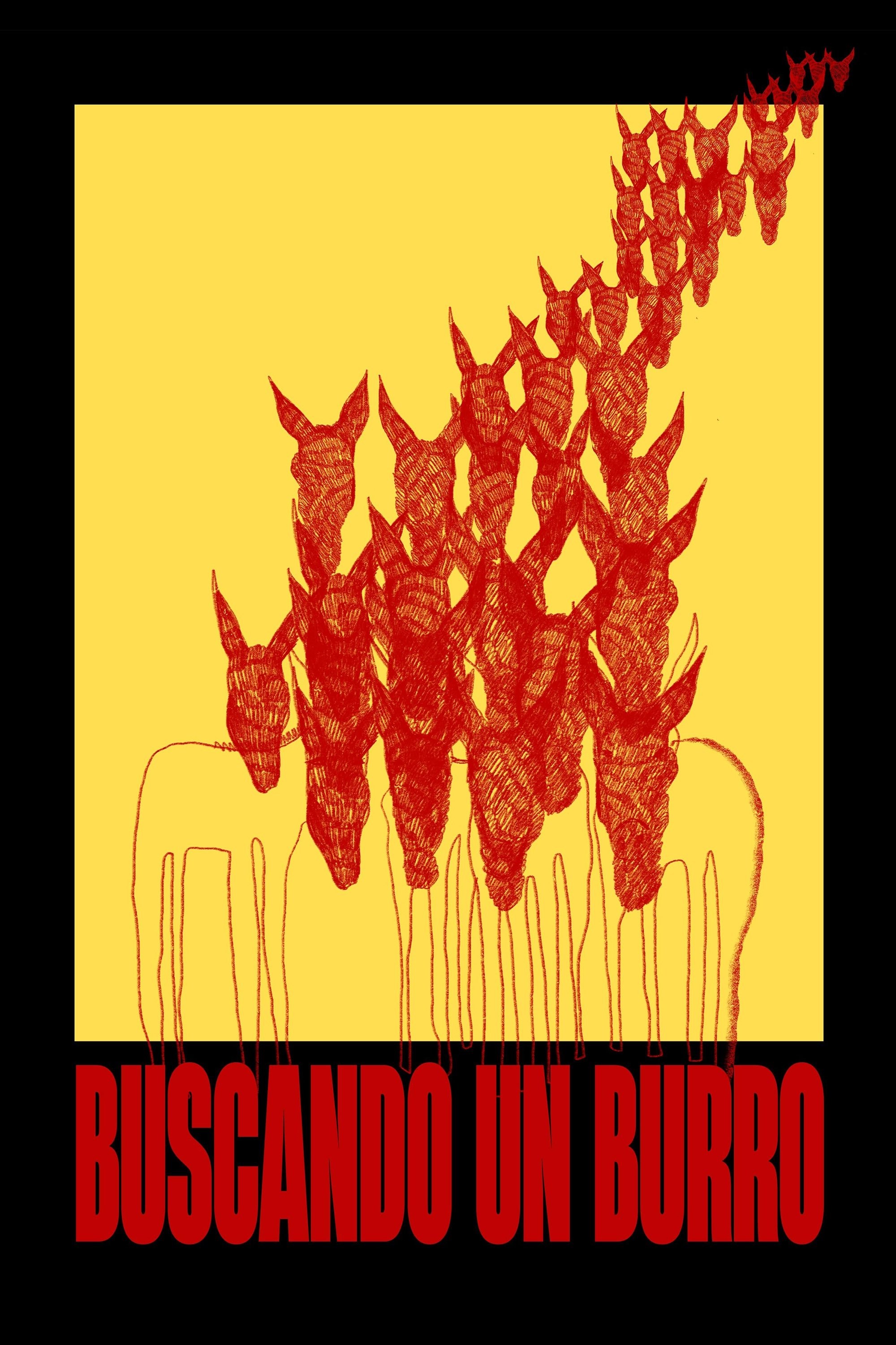 Poster de BUSCANDO UN BURRO