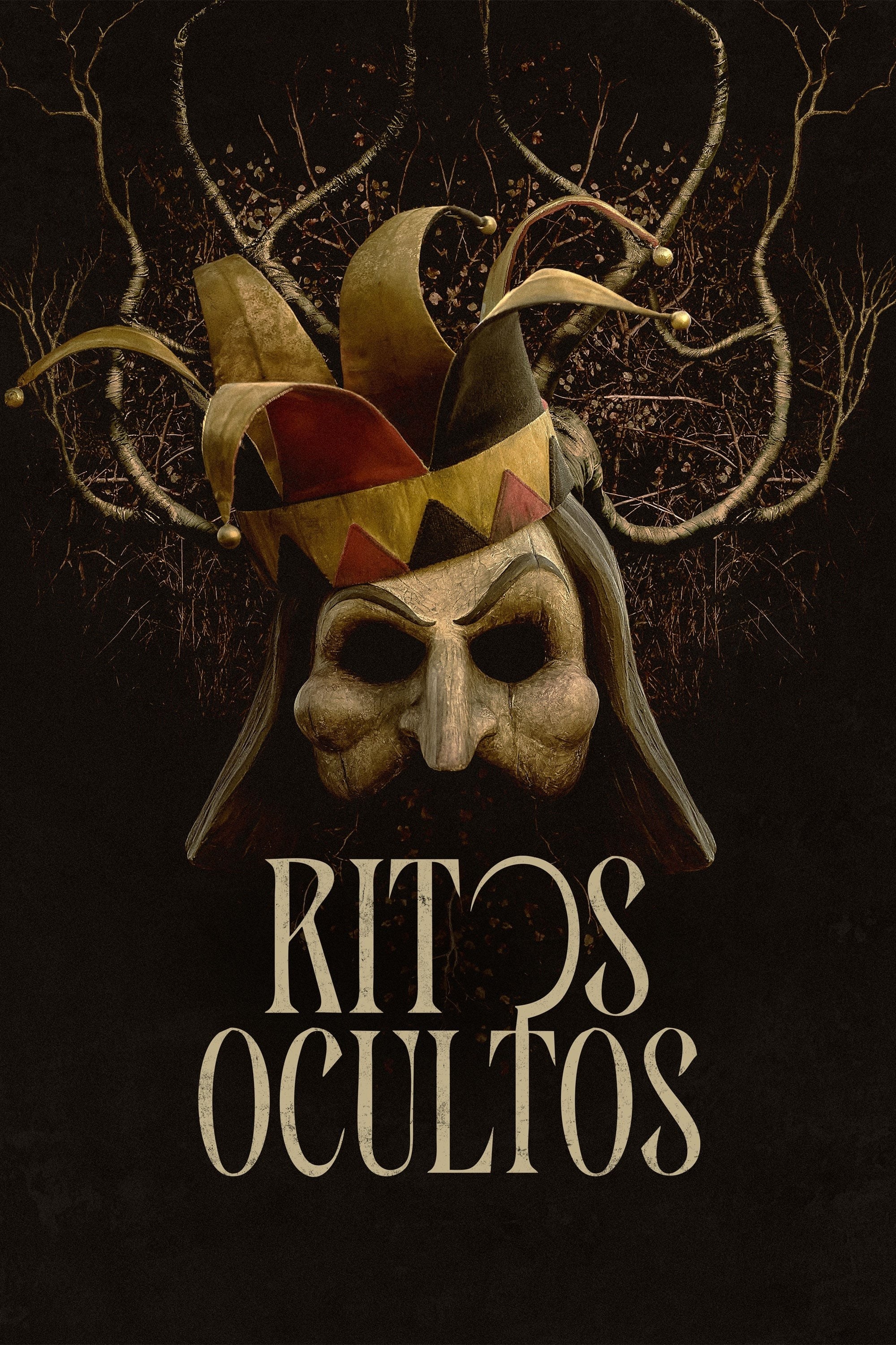 Poster de RITOS OCULTOS en español