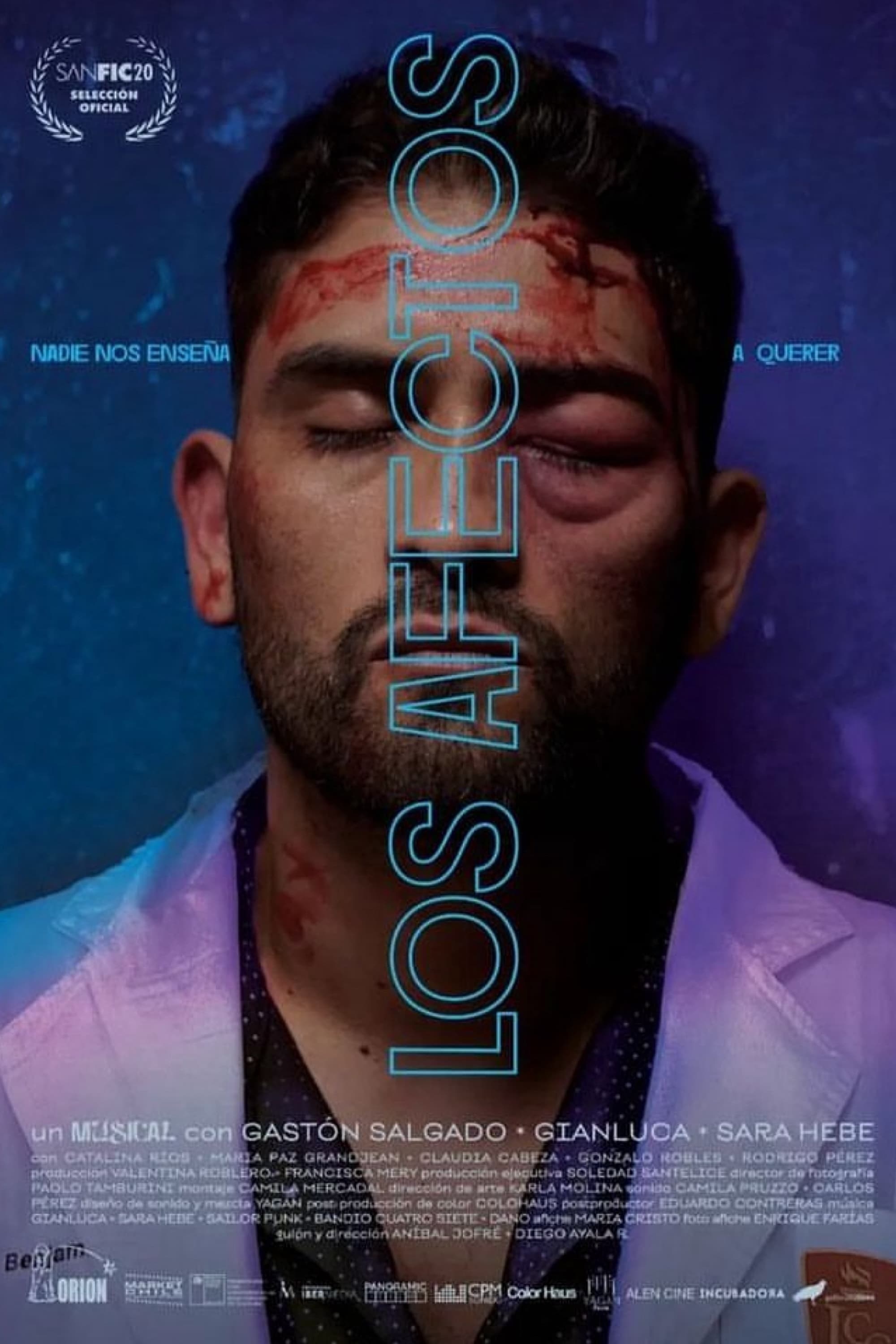 Poster de LOS AFECTOS