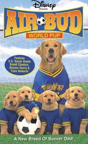 Poster de LOS CACHORROS DE BUDDY