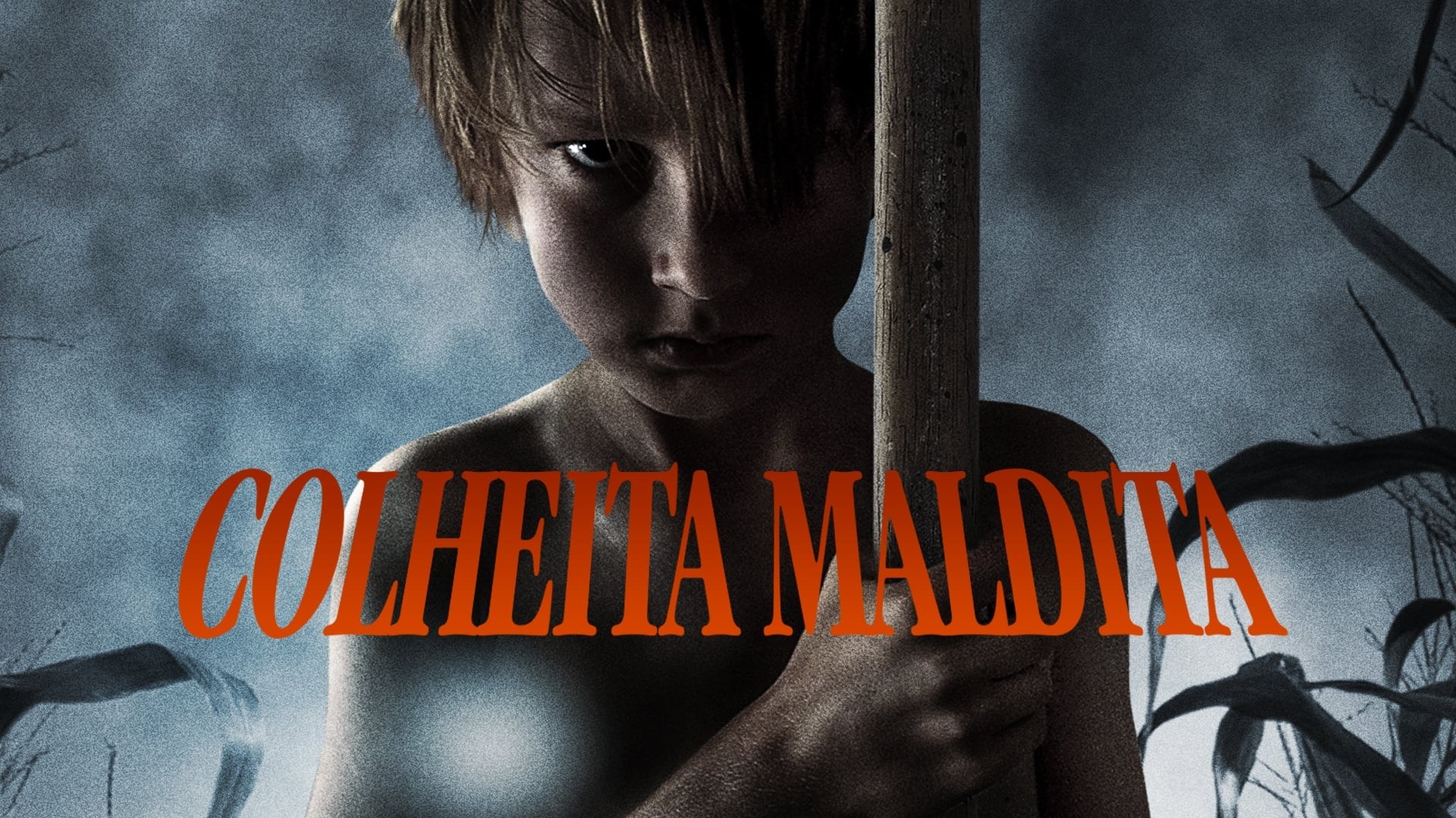 Foto de LOS CHICOS DEL MAÍZ: GÉNESIS