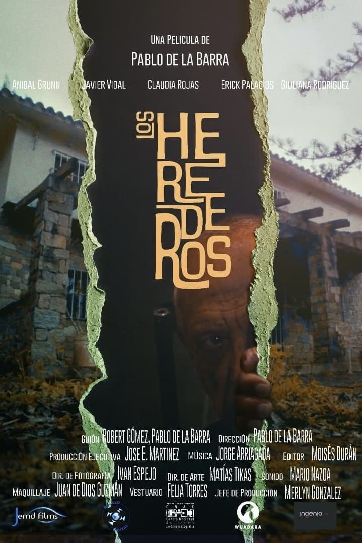 Poster de LOS HEREDEROS