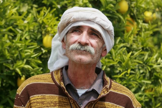 Foto de LOS LIMONEROS