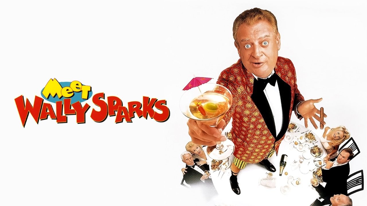 Foto de LOS LÍOS DE WALLY SPARKS