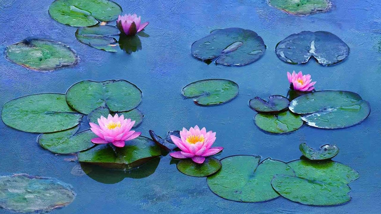 Foto de LOS NENÚFARES DE MONET