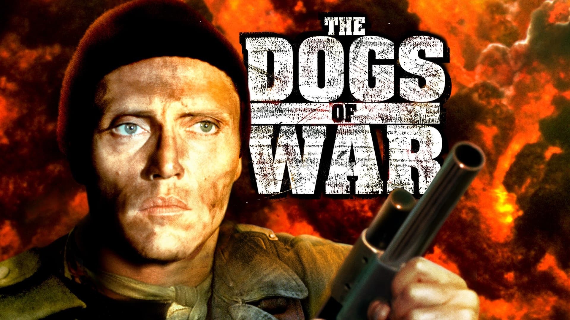 Foto de LOS PERROS DE LA GUERRA
