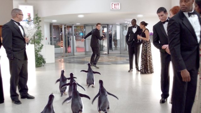 Foto de LOS PINGÜINOS DEL SR. POPER