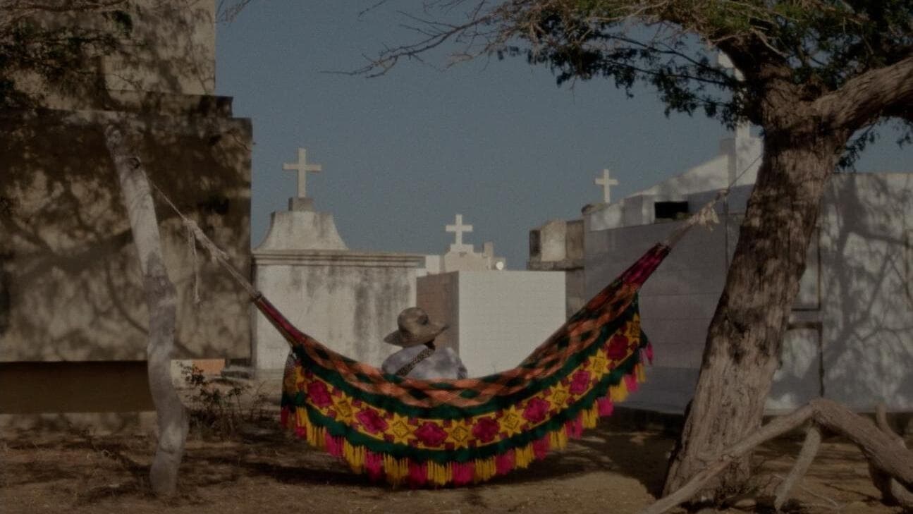 Foto de LOS SUEÑOS VIAJAN CON EL VIENTO