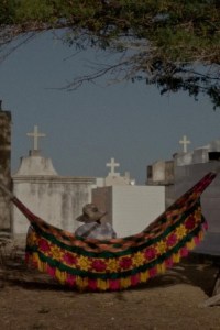 Los sueños viajan con el viento